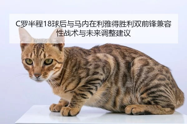 luo-ban-cheng-qiu-hou-yu-ma-nei-zai-li-ya-de-sheng-li-shuang-qian-feng-jian-rong-xing-zhan-shu-yu-wei-lai-tiao-zheng-2-798.jpg