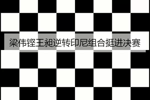 liang-wei-keng-wang-chang-ni-zhuan-yin-ni-zu-he-ting-jin-jue-sai-2-117.jpg