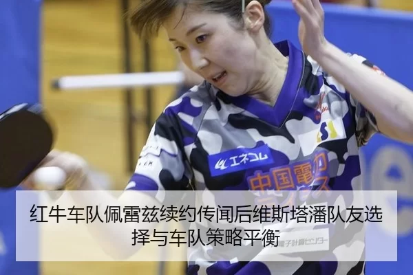 hong-niu-che-dui-pei-lei-zi-xu-yue-chuan-wen-hou-wei-si-ta-pan-dui-you-xuan-ze-yu-che-dui-ce-lve-ping-heng-2-623.jpg